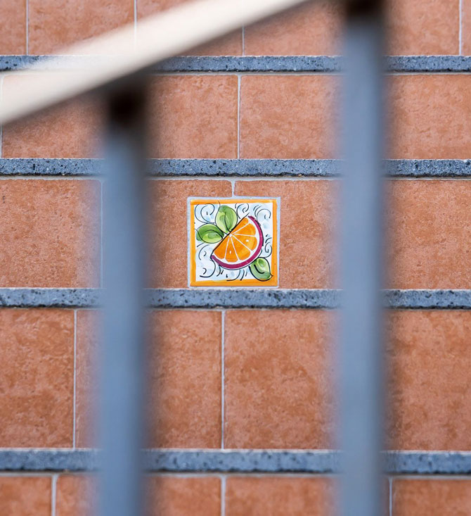 History of Tenuta Carbone